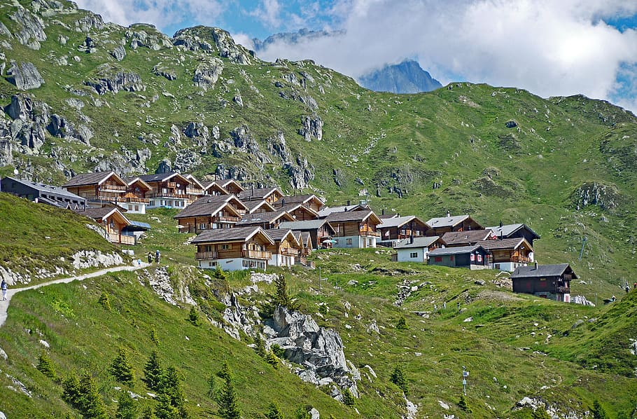 02.06.2025 – WEEKLY&nbsp;BRIEFING